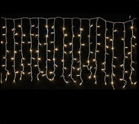 Curtain Light: 3m x 1m Warm White