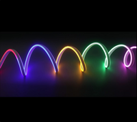 Neon Rope Light: 20m Multicolour