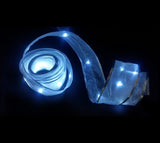 Silver Ribbon Light: 5m Pure White