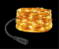 Copper Wire Light: 12m Warm White
