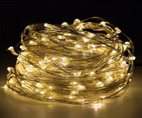 Silver Wire Light: 10m Warm White & Pure White