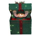 Open Box: Green & Red | Warm White | Elf