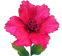 Poinsettia: 25cm | Pink