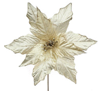 Poinsettias: 28cm | Champagne | 5 pack