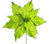Poinsettias: 28cm | Lime | 5 pack