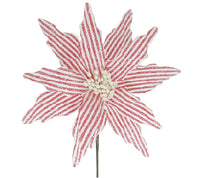 Poinsettias: 28cm | White & Red stripes | 5 pack