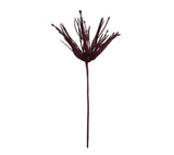 Pick: 54cm | Burgundy brush