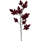 Pick: 70cm | Burgundy leaves