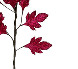 Pick: 70cm | Pink leaves
