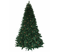 Canadian Christmas Tree: 2.4m