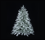 Snowy Alaskan Christmas Tree: 2.1m