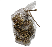 Pinecones: Gold