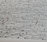 Ribbon: 4.5m(L) x 36cm(W) | Silver mesh