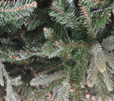 Korean Green Christmas Tree: 2.4m