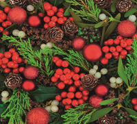 Napkins: Red Berries