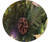 Golden Mountain Pine Arch: 2.4m