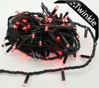 Fairy Light: 10m Red