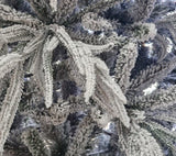 Snowy Alaskan Christmas Tree: 2.1m